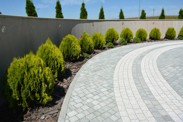 Best Best Driveway Pavers  in Massanutten, VA